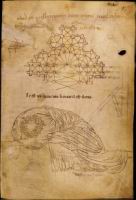 Folio 33 - Plan du chevet de Vaucelles - Christ chutant